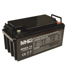 Záložní zdroj nástěnný 800W pro čerpadla s baterií 65Ah